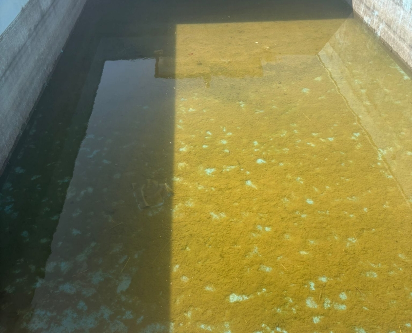 Limpieza de piscina
