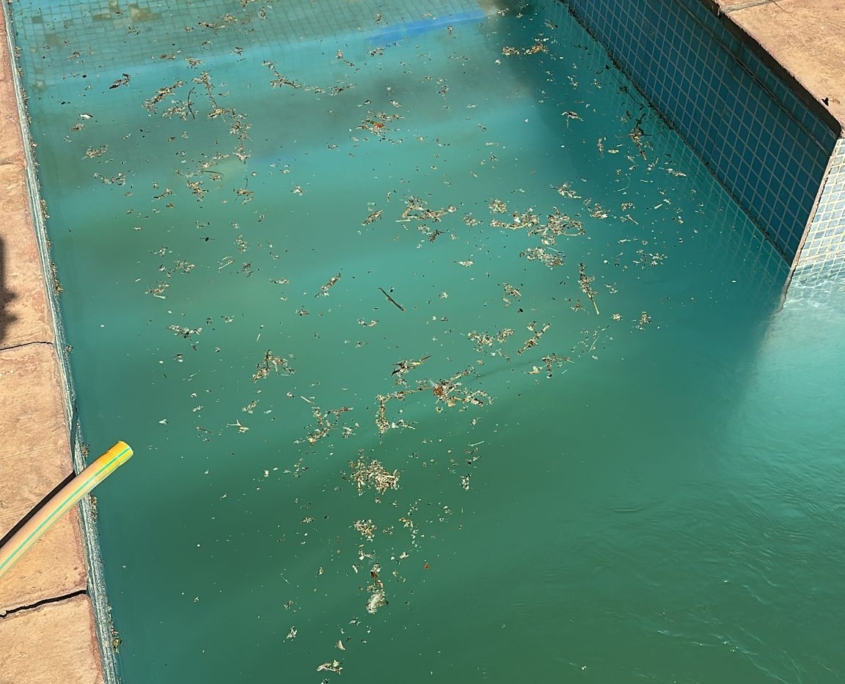 Mantenimientos de piscinas