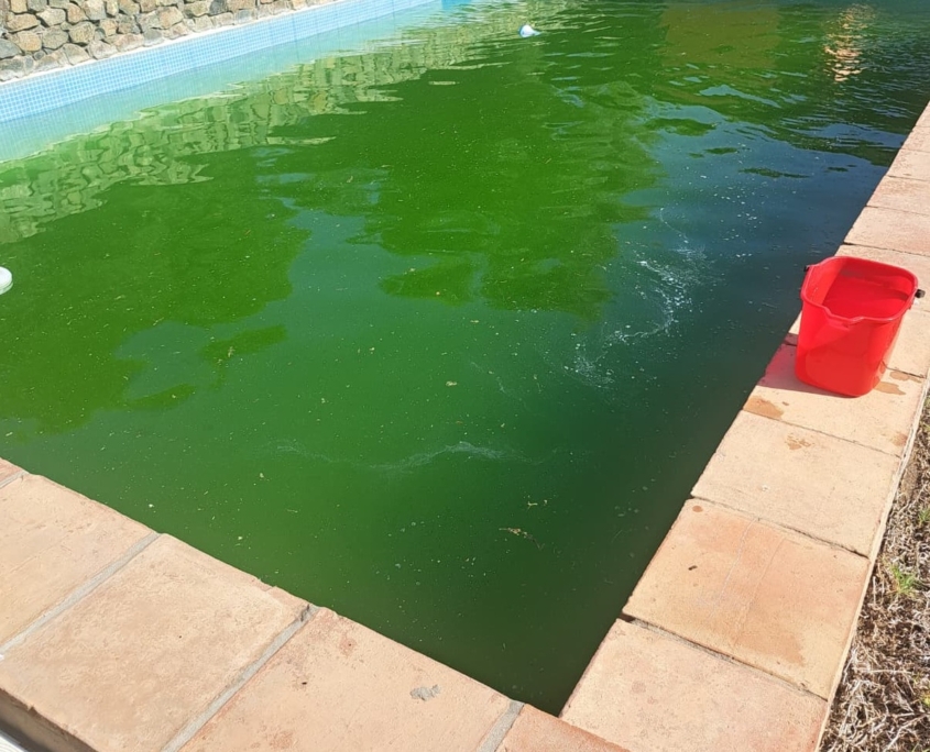 Mantenimientos de piscinas